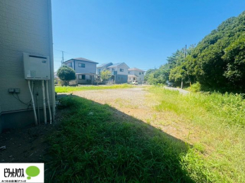 @OʓHLAԌBԂȕyXԂł܂B