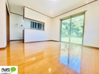 rO@PK͉J˃Vb^[tŁAV̖̎hƂȂǈSł