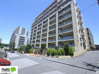 ̑@lC̃mx[Vσ}VIꂢȂŐV͂߂܂񂩁B