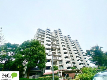 Oώʐ^@w͂Cyɂ⍇܂B