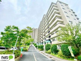 Oώʐ^@w͂Cyɂ⍇܂B