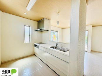 Lb`@lC̃JE^[Lb`́ArOɂ邲Ƒ̗lqf܂