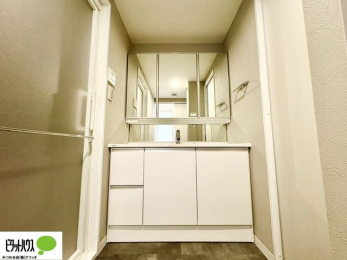 ʑEʏ@Oʋ̗AVNȂǑ[ALXƂʉϑłB