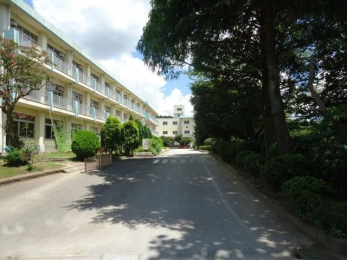 ӊ@ssLHwZ k23B 1800m