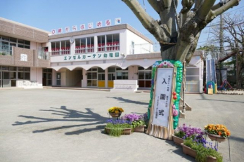 �@�G���[���K�[�f���c�t�� �k��8���B 640m