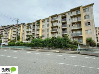 Oώʐ^@sJsJtH[ςłɐVn߂܂Iw͂Cyɂ⍇܂B