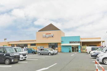 ӊ@w̓XYX k14B 1101m