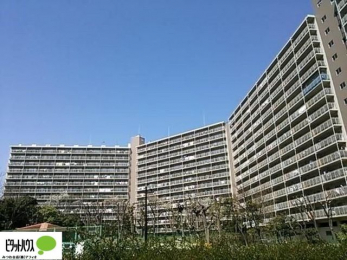 Oώʐ^@S̃I[gbN}VIː403˂̃rbOR~jeBB