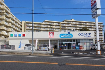 ӊ@EGVAtÌ˓X k16B 1250m