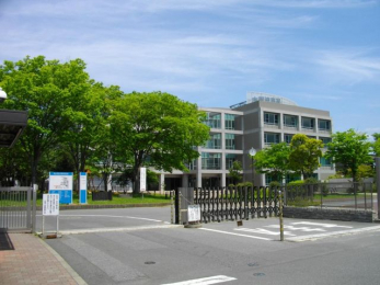 ӊ@؍XÍHƍwZ k5B 370m