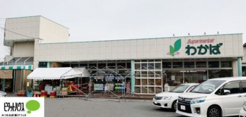 ӊ@X[p[킩 k23B 1790m