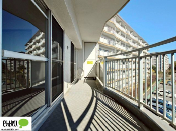 ���̑��@�z�c�₽������̐��󕨂������郏�C�h�o���R�j�[