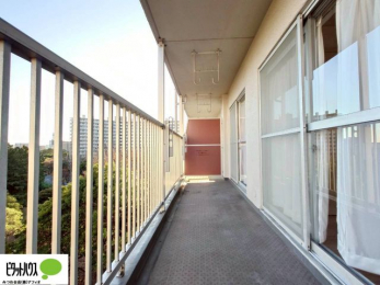 ���̑��@�z�c�₽������̐��󕨂������郏�C�h�o���R�j�[