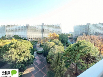 ���̑��@�o���R�j�[����̒��]�B