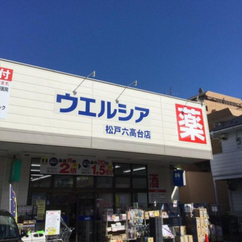 ���ӊ��@�E�G���V�A���˘Z����X �k��3���B 170m