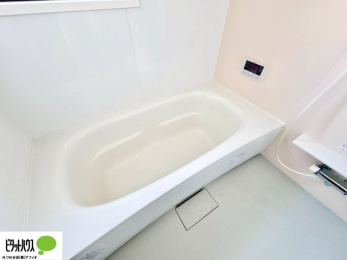 �����@�����������F���̗����ŁA1���̔��������������Ă��������B