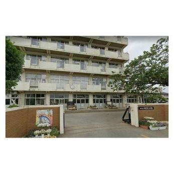 ӊ@ˎsZ񏬊wZ k8B 560m