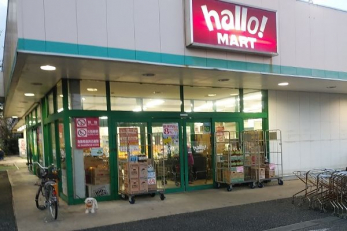 ӊ@n[}[gZX k4B 320m