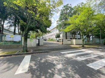 ӊ@Ds/Ku䒆wZ k11B 870m