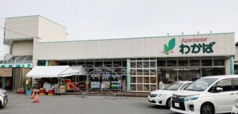 ӊ@X[p[킩 k4B 250m