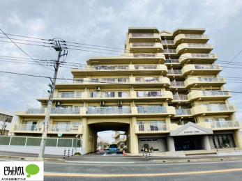 Oώʐ^@w͂Cyɂ⍇܂B