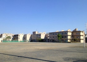 ӊ@tsyC쒆wZ k31B 2470m