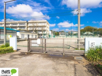 ӊ@st䒆wZ k19B 1500m