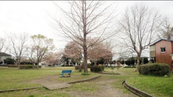 ӊ@ǂ񂮂 k12B 890m