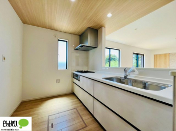 Lb`@{Hʐ^FlC̃JE^[Lb`́ArOɂ邲Ƒ̗lqf܂