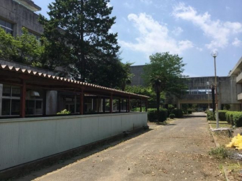 ӊ@lXs/cwZ k33B 2600m