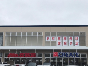 ӊ@NGCgGXEfB[kX k3B 220m