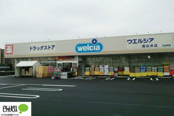 ӊ@EGVAX k17B 1350m