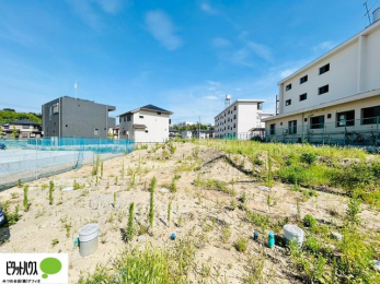 ���̑��@7/31