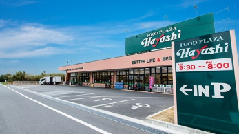 ���ӊ��@�t�[�h�v���U�n���V/�{�[�X �k��15���B 1150m