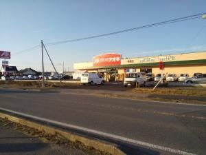 ���ӊ��@�N�X���̃A�I�L�����X �k��8���B 600m