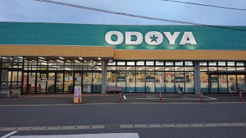 ���ӊ��@ODOYA�N�Ò����X �k��9���B��18���B 650m