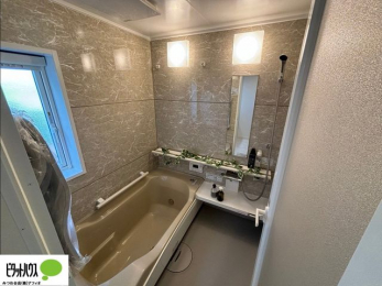 �����@�{�H��ʐ^�F�����������F���̗����ŁA1���̔��������������Ă��������B