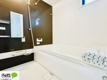 �����@�{�H��ʐ^�@�����������F���̗����ŁA1���̔��������������Ă��������B