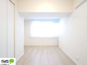 ���̑����ρ@�傫�ȑ����疾�邢�z�˂�������܂��B