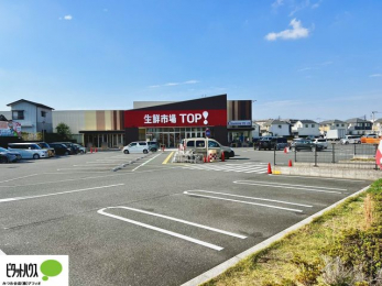 ���ӊ��@���N�s��TOP�I���ˌÃ���X �k��11���B 810m