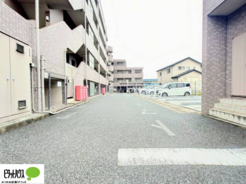 ���̑��@�J�[�X�y�[�X