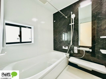 �����@�{�H��ʐ^�@�����������F���̗����ŁA1���̔��������������Ă��������B