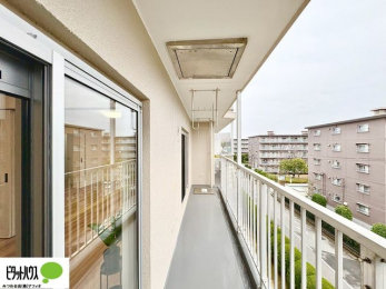 �o���R�j�[�@�z�c�₽������̐��󕨂������郏�C�h�o���R�j�[