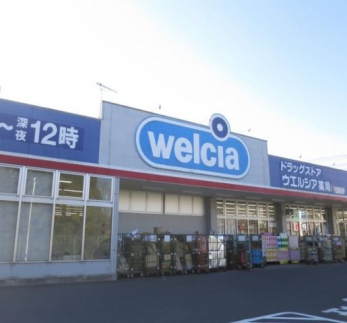 ���ӊ��@�E�G���V�A��ǐ�t��{��X �k��11���B 810m