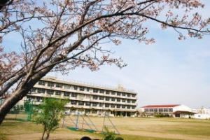 ���ӊ��@�؍X�Îs��/�⍪�����w�Z �k��27���B 2140m