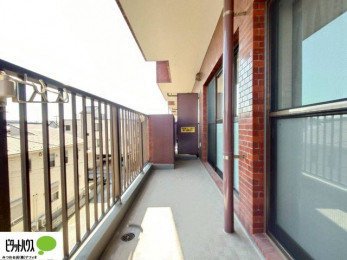 ���ց@�z������̗ǂ��L�X�o���R�j�[�B