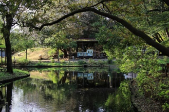 ���ӊ��@�X�ь��� �k��13���B 1030m