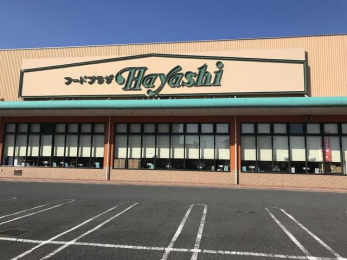 ���ӊ��@�t�[�h�v���U�n���V�����X �k��10���B 730m