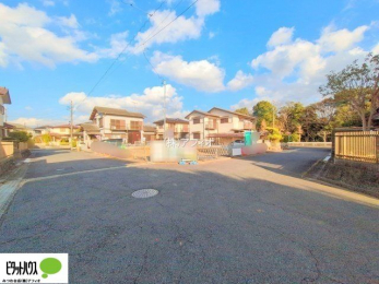 �O�ώʐ^�@12��17���@���n�����ʐ^