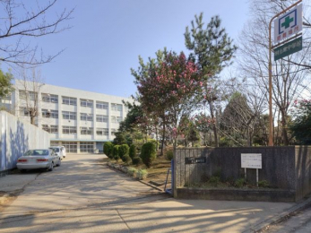 ���ӊ��@�����s�����㓌���w�Z �k��20���B 1590m